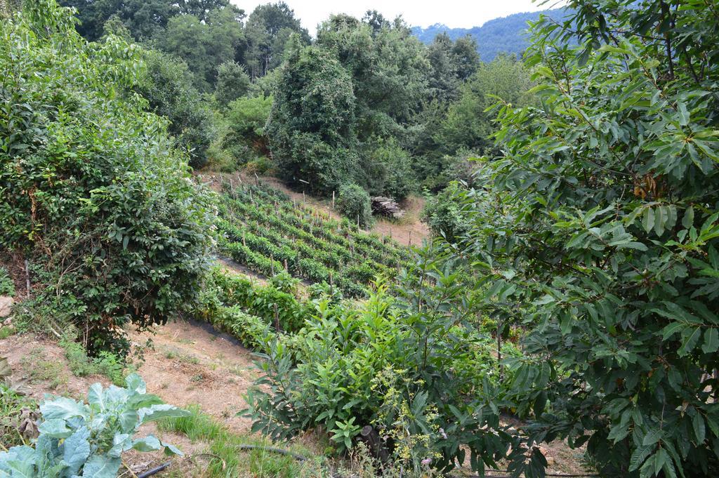 Agriturismo E Turre Serrastretta Экстерьер фото
